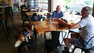meeting at the brewery